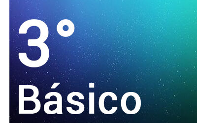 Tercero Básico