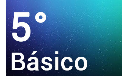 Quinto Básico
