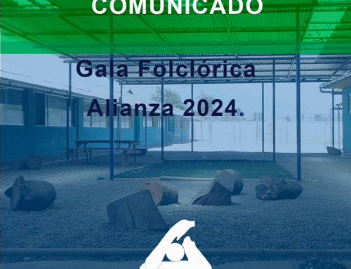 Comunicado N ° 32